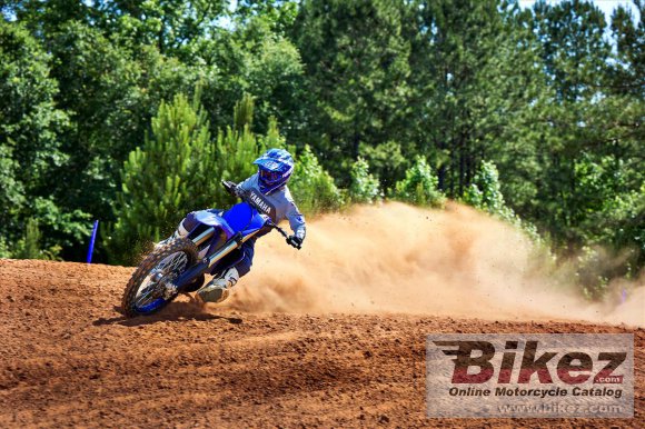 2023 Yamaha YZ250