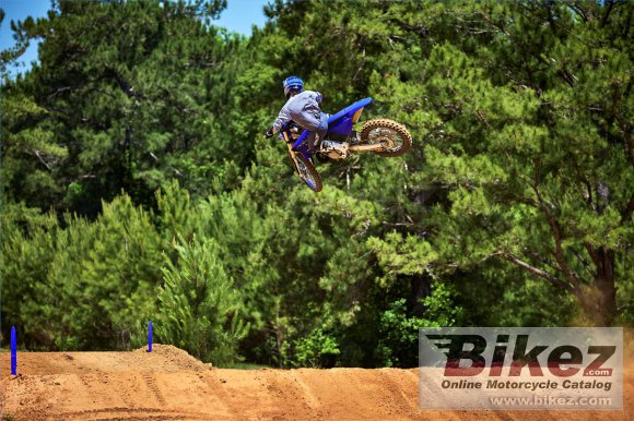 2023 Yamaha YZ250