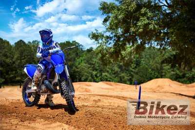 2023 Yamaha YZ250