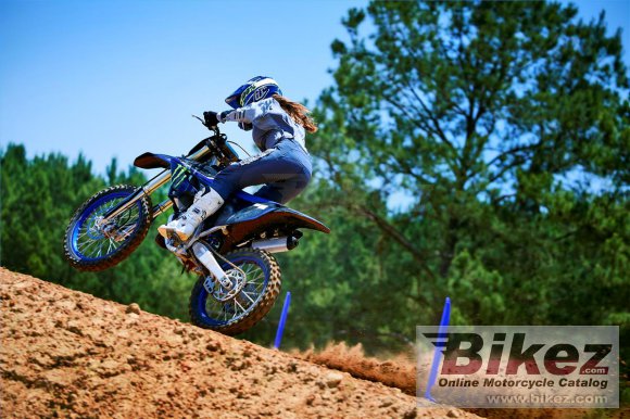 2023 Yamaha YZ125 Monster Energy