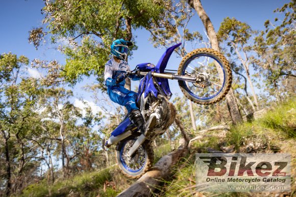 2023 Yamaha WR250F