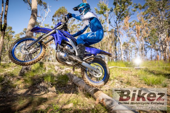 2023 Yamaha WR250F