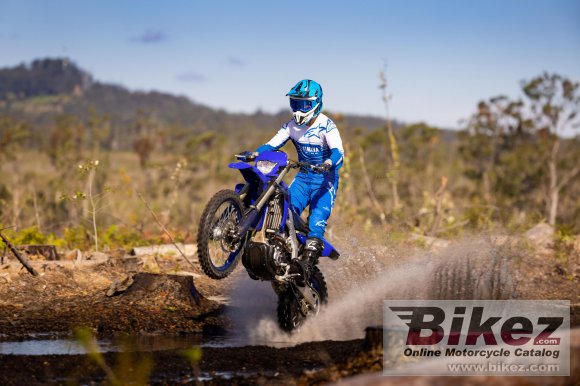 2023 Yamaha WR250F