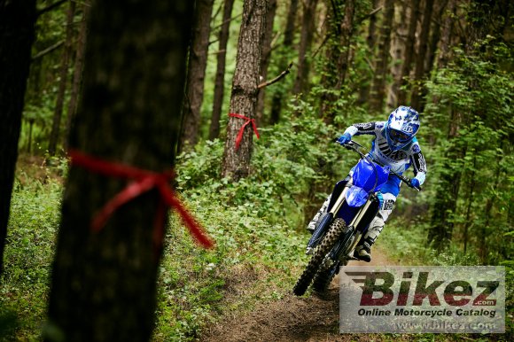 2023 Yamaha YZ125X