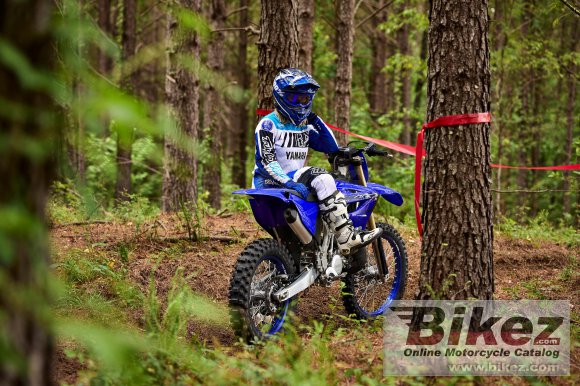 2023 Yamaha YZ125X