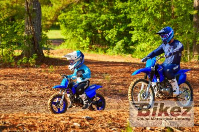 2023 Yamaha PW50