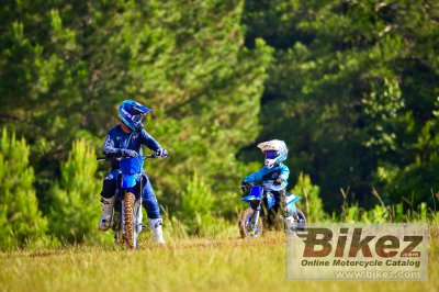 2023 Yamaha PW50