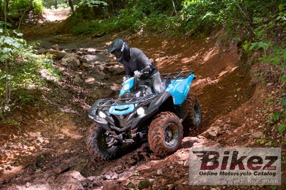 2023 Yamaha Grizzly EPS