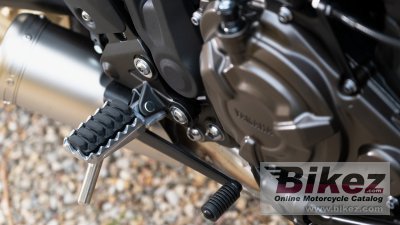 2023 Yamaha XSR700 Legacy