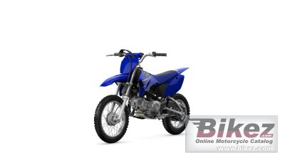 2023 Yamaha TT-R110