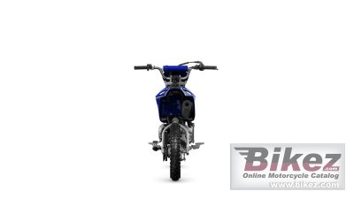 2023 Yamaha TT-R110