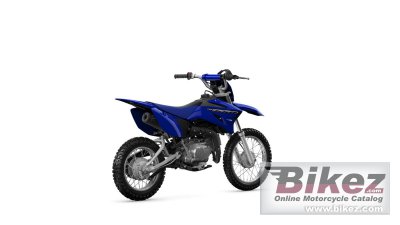 2023 Yamaha TT-R110