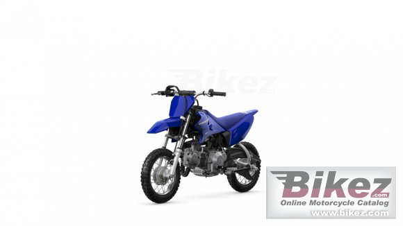 2023 Yamaha TT-R50