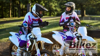 2024 Yamaha YZ450F 50th Anniversary Edition