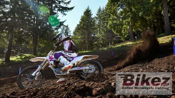 2024 Yamaha YZ450F 50th Anniversary Edition