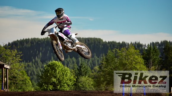 2024 Yamaha YZ450F 50th Anniversary Edition