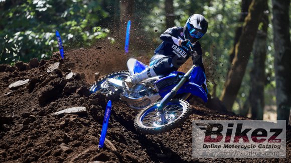 2024 Yamaha YZ450F