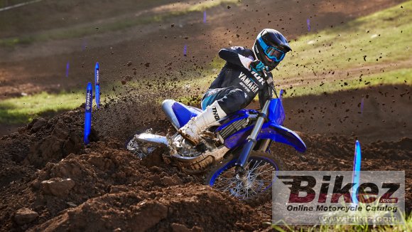 2024 Yamaha YZ450F