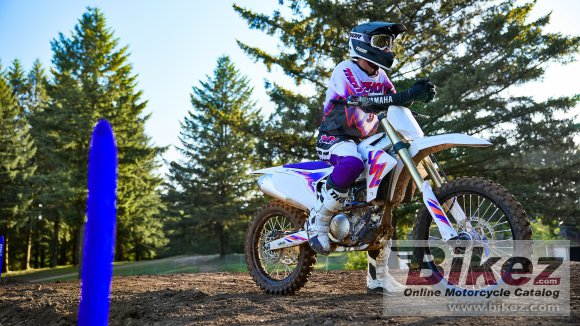 2024 Yamaha YZ250F 50th Anniversary Edition