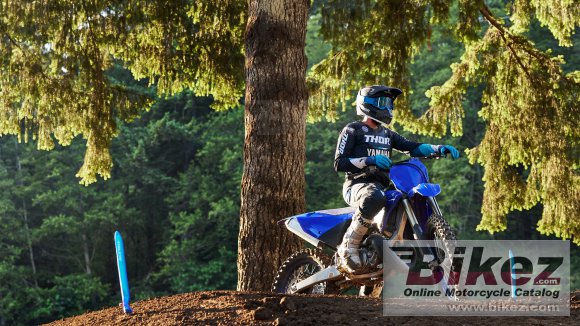 2024 Yamaha YZ250