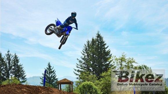 2024 Yamaha YZ250F