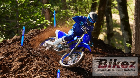 2024 Yamaha YZ250F