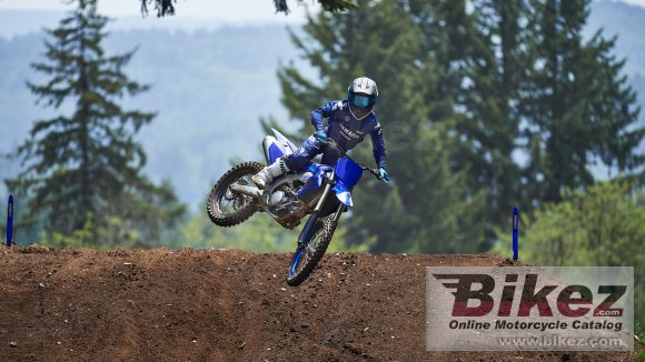 2024 Yamaha YZ250F