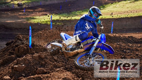 2024 Yamaha YZ250F