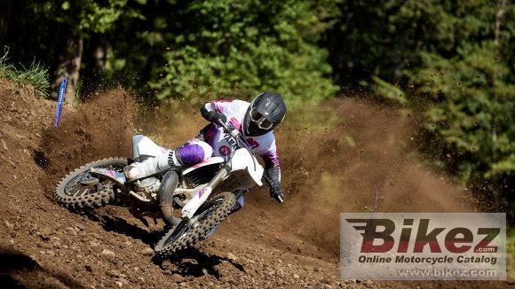 2024 Yamaha YZ250 50th Anniversary Edition