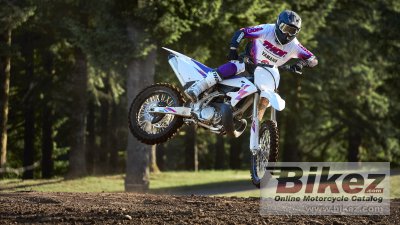 2024 Yamaha YZ250 50th Anniversary Edition