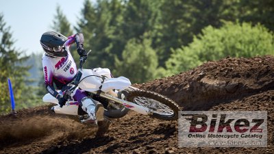 2024 Yamaha YZ250 50th Anniversary Edition
