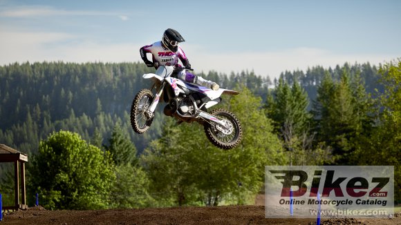 2024 Yamaha YZ250 50th Anniversary Edition