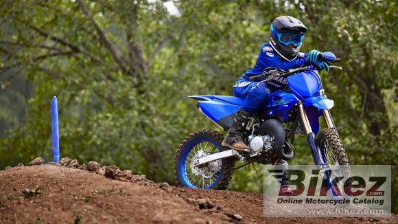 2024 Yamaha YZ85LW