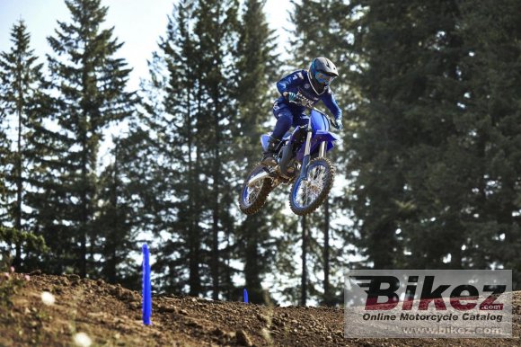 2024 Yamaha YZ85