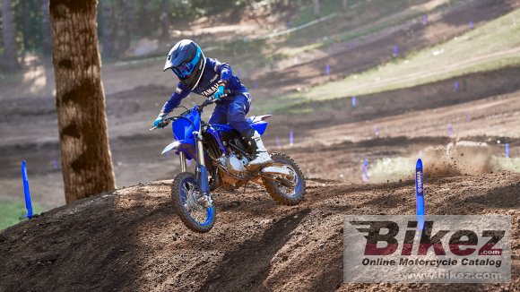 2024 Yamaha YZ65