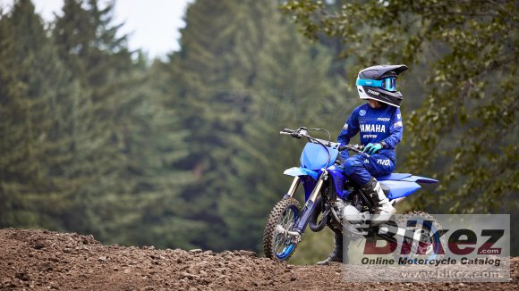 2024 Yamaha YZ65