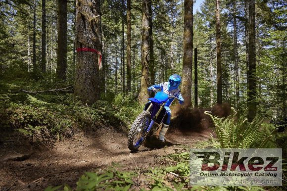 2024 Yamaha YZ450FX