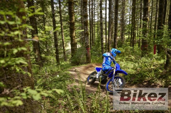 2024 Yamaha YZ450FX