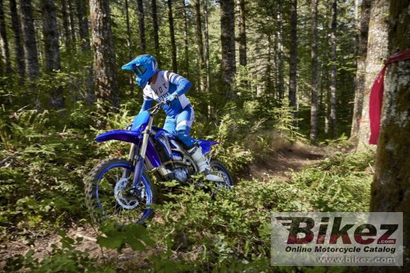 2024 Yamaha YZ450FX