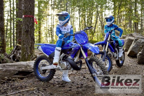 2024 Yamaha YZ250X