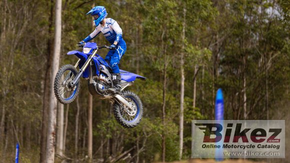 2024 Yamaha WR250F