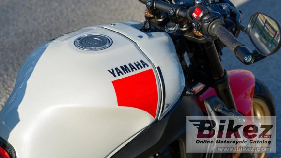 2024 Yamaha XSR900