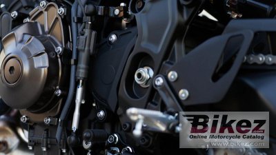2024 Yamaha XSR900
