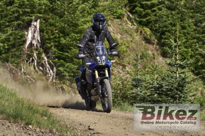 2024 Yamaha Tenere 700