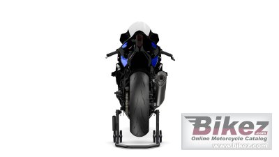 2025 Yamaha R1 GYTR