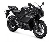 2025 Yamaha R25