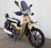 2025 Yamasaki Dream