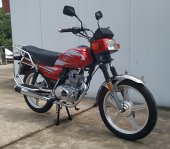 2025 Yamasaki Bushbuck