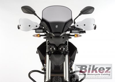 2015 Zero Police