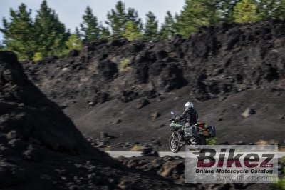 2023 Zero DSR X